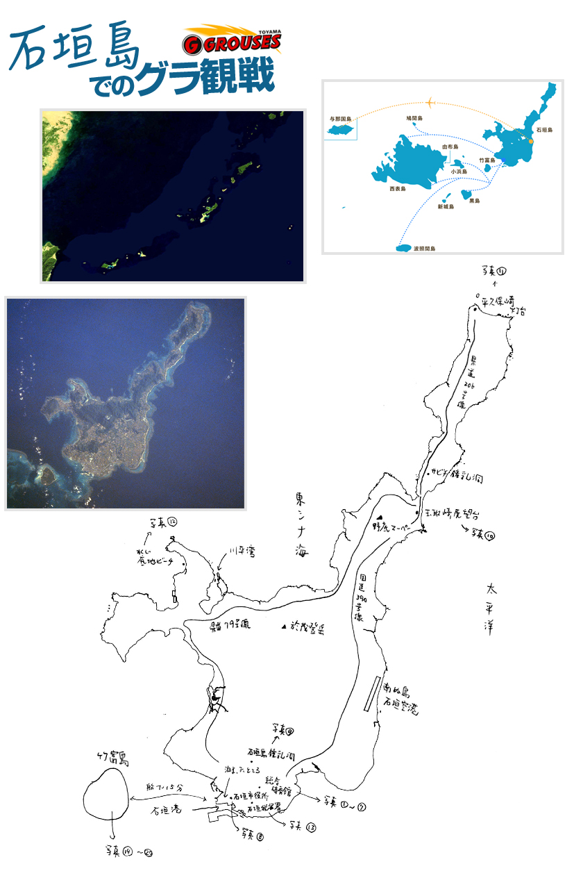 石垣島でのグラ観戦