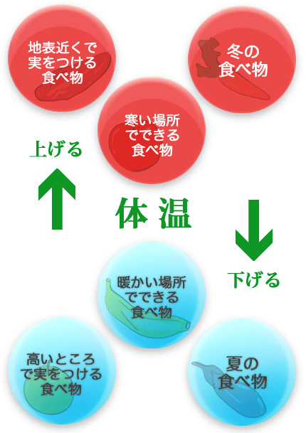 体温を上げる食べ物かどうかの見分け方